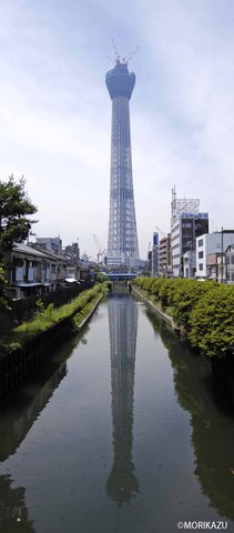 スカイ.jpg